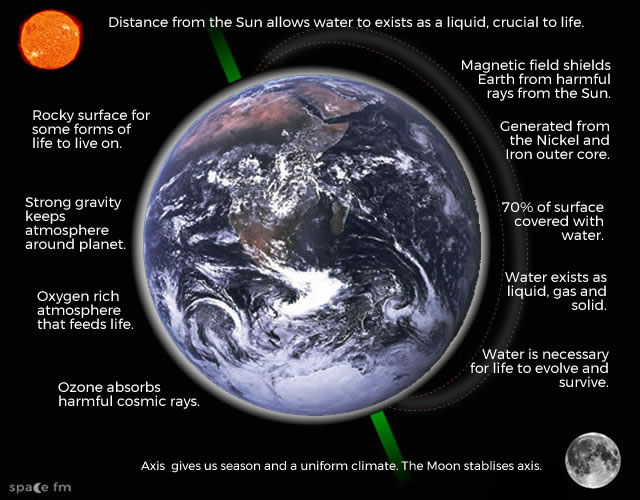 Interactive image with embedded text